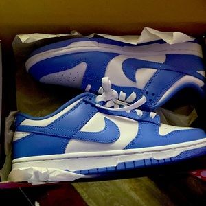 Nike Dunks Low Retro